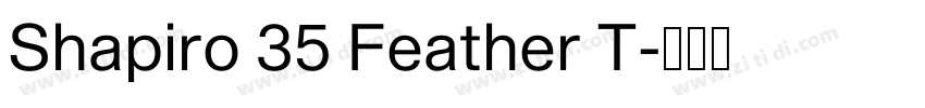 Shapiro 35 Feather T字体转换